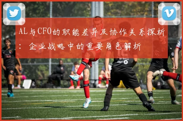 AL与CFO的职能差异及协作关系探析：企业战略中的重要角色解析