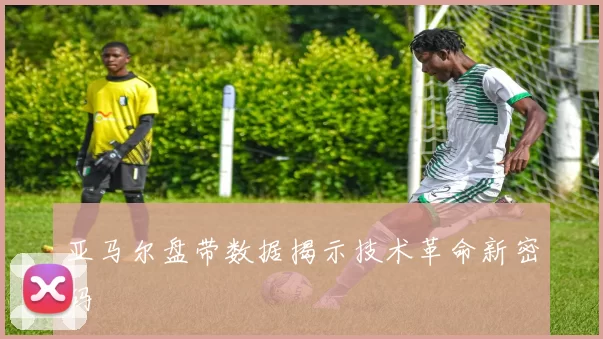 亚马尔盘带数据揭示技术革命新密码