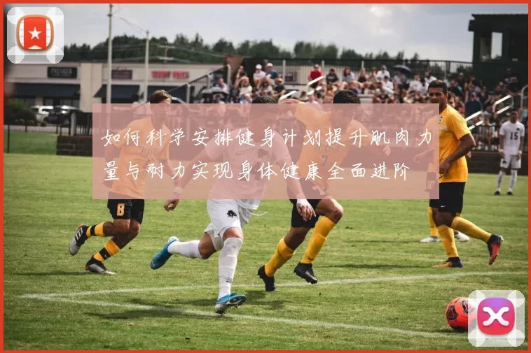 如何科学安排健身计划提升肌肉力量与耐力实现身体健康全面进阶
