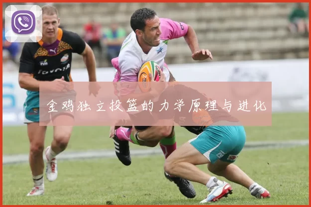 金鸡独立投篮的力学原理与进化