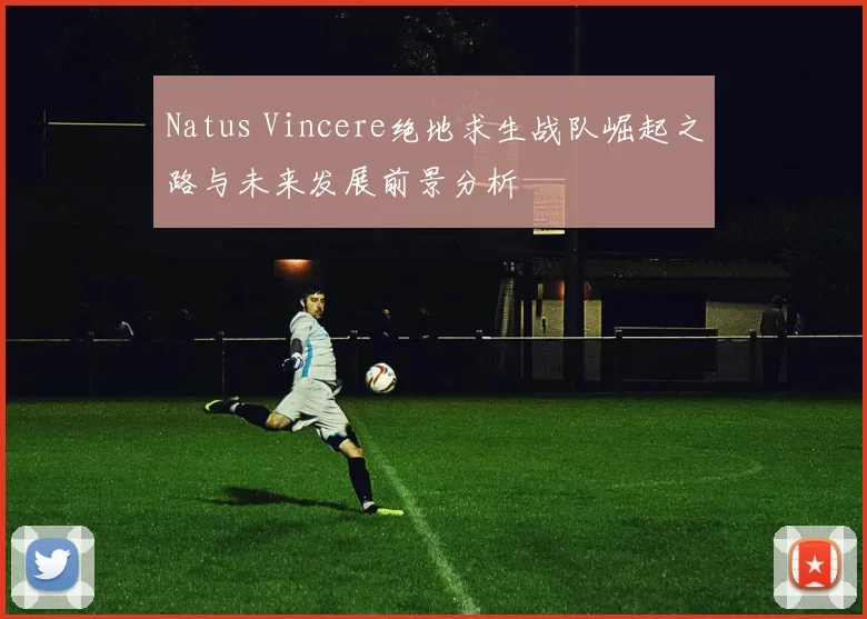 Natus Vincere绝地求生战队崛起之路与未来发展前景分析