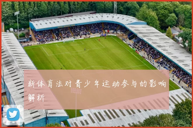 新体育法对青少年运动参与的影响解析