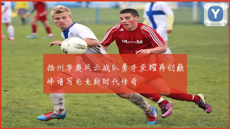 扬州华奥风云战队勇夺荣耀再创巅峰谱写电竞新时代传奇